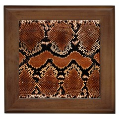 Leatherette Snake 3 Framed Tile by skindeep