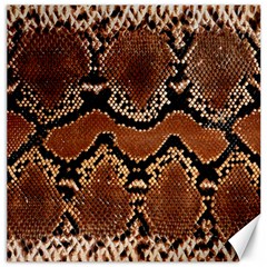 Leatherette Snake 3 Canvas 12  X 12  by skindeep