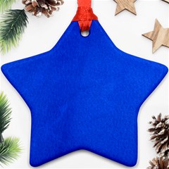 Leather Smooth 22 Blue Ornament (star) by skindeep