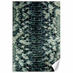 Snake Skin-29 Alt Canvas 20  X 30  by skindeep