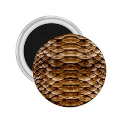 Reptile Skin Pattern 11 2 25  Magnets by skindeep