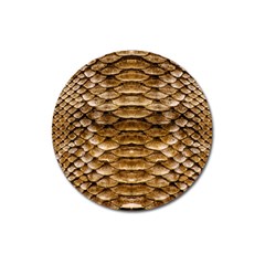 Reptile Skin Pattern 11 Magnet 3  (round) by skindeep