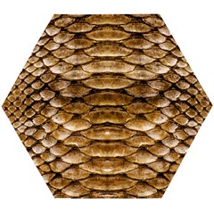 Reptile Skin Pattern 11 Wooden Puzzle Hexagon by skindeep