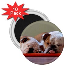 2 Sleeping Bulldogs 2 25  Magnets (10 Pack)  by SomethingForEveryone