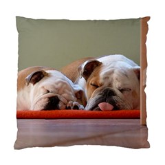 2 Sleeping Bulldogs Standard Cushion Case (one Side) by SomethingForEveryone