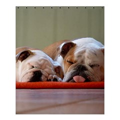 2 Sleeping Bulldogs Shower Curtain 60  X 72  (medium) 