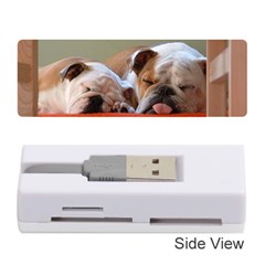 2 Sleeping Bulldogs Memory Card Reader (stick)