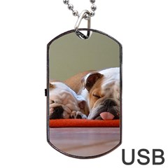 2 Sleeping Bulldogs Dog Tag Usb Flash (two Sides) by SomethingForEveryone