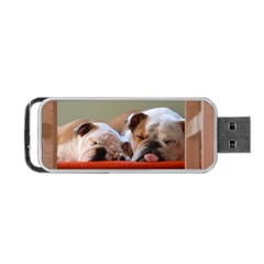 2 Sleeping Bulldogs Portable Usb Flash (two Sides) by SomethingForEveryone