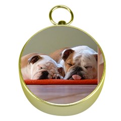 2 Sleeping Bulldogs Gold Compasses by SomethingForEveryone