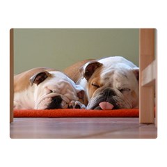 2 Sleeping Bulldogs Double Sided Flano Blanket (mini)  by SomethingForEveryone