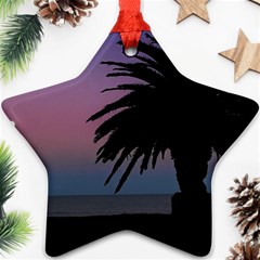 Sunset Coastal Scene, Montevideo Uruguay Ornament (star) by dflcprintsclothing