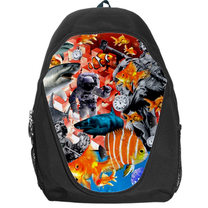 Point Of Entry Backpack Bag