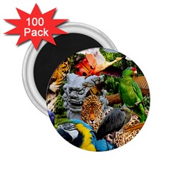 Amazonia 2 25  Magnets (100 Pack)  by impacteesstreetwearcollage