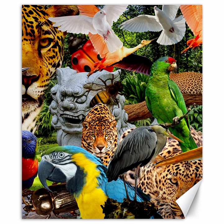 Amazonia Canvas 8  x 10 