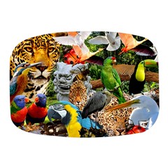 Amazonia Mini Square Pill Box