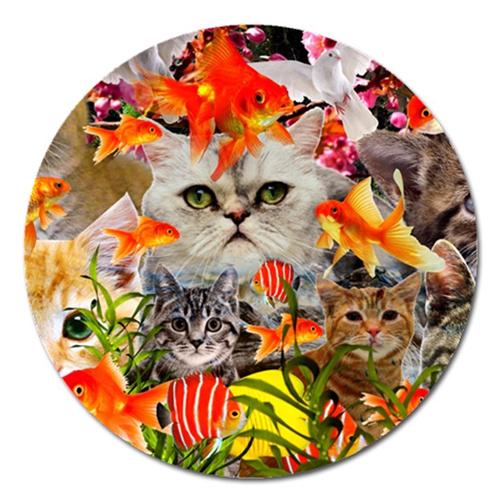 Aquarium Life Cropped Magnet 5  (Round)