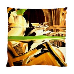 Grasshopper-1-1 Standard Cushion Case (two Sides) by bestdesignintheworld