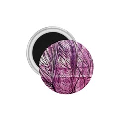 Burgundy Edit 1.75  Magnets