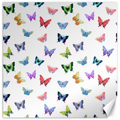 Cute Bright Butterflies Hover In The Air Canvas 12  X 12  by SychEva