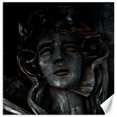 Athena Iii Canvas 20  X 20 