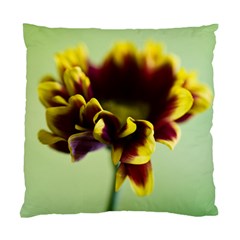 Red And Yellow Daisy Cushion Case (two Sided)  by JeanKellyPhoto