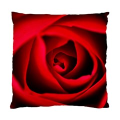 Red Rose Cushion Case (two Sided) 