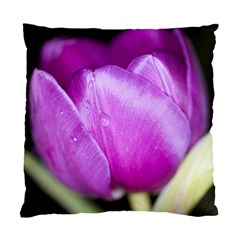 Purple Tulip Cushion Case (two Sided)  by JeanKellyPhoto