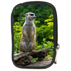 Meerkat Compact Camera Leather Case by JeanKellyPhoto