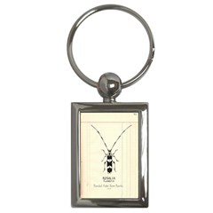 Img016 Key Chain (rectangle) by Limerence