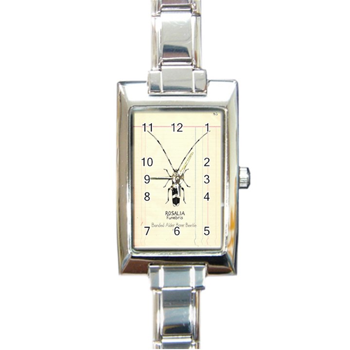 Banded Alder Borer  Rectangle Italian Charm Watch