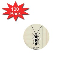 Banded Alder Borer  1  Mini Buttons (100 Pack)  by Limerence