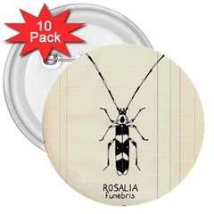 Banded Alder Borer  3  Buttons (10 Pack)  by Limerence