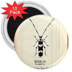 Banded Alder Borer  3  Magnets (10 Pack)  by Limerence