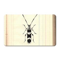 Banded Alder Borer  Magnet (rectangular) by Limerence