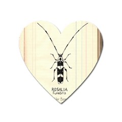 Banded Alder Borer  Heart Magnet by Limerence