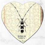 Banded Alder Borer  Jigsaw Puzzle (Heart) Front