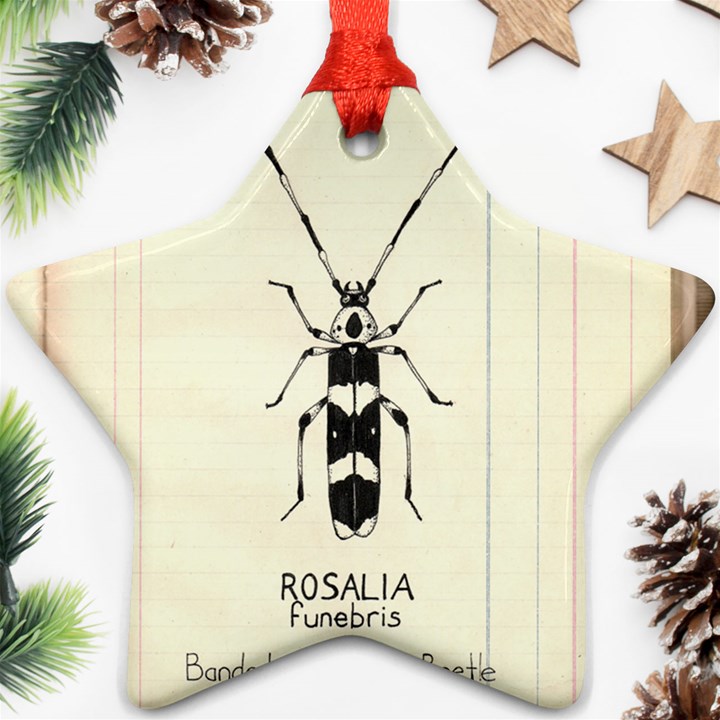 Banded Alder Borer  Star Ornament (Two Sides)