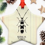 Banded Alder Borer  Star Ornament (Two Sides) Back