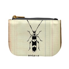 Banded Alder Borer  Mini Coin Purse by Limerence