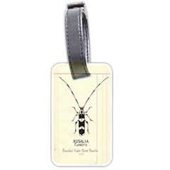 Banded Alder Borer  Luggage Tag (two Sides)