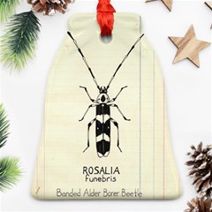 Banded Alder Borer  Ornament (bell) by Limerence