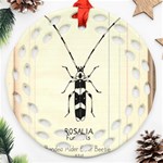 Banded Alder Borer  Round Filigree Ornament (Two Sides) Back