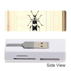 Banded Alder Borer  Memory Card Reader (stick) by Limerence