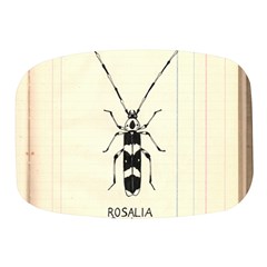 Banded Alder Borer  Mini Square Pill Box by Limerence