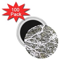 Linear Art Botanic Illustration 1 75  Magnets (100 Pack)  by dflcprintsclothing