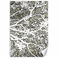 Linear Art Botanic Illustration Canvas 12  x 18 