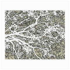 Linear Art Botanic Illustration Small Glasses Cloth (2 Sides)