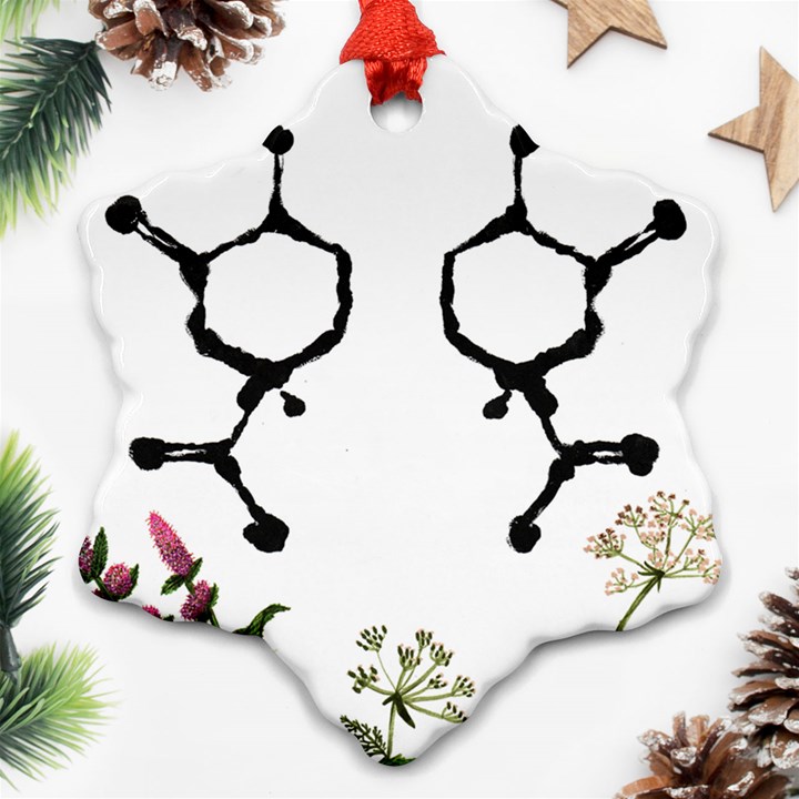 Chirality Ornament (Snowflake)