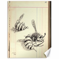 Bees Canvas 18  X 24  by Limerence